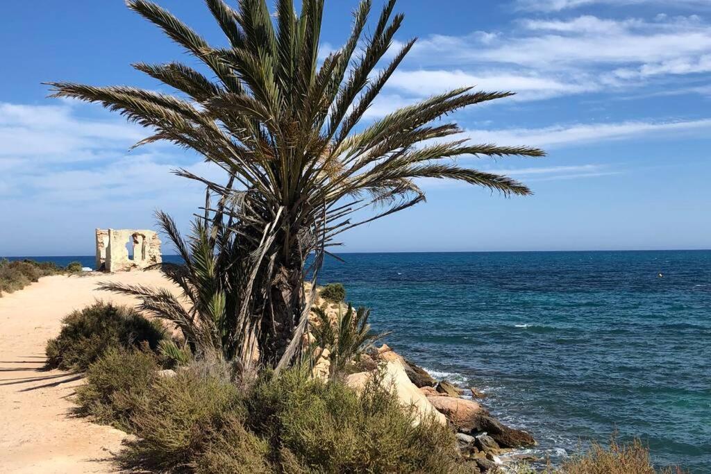 Oasis Beach Dream Holiday グアルダマル・デル・セグラ エクステリア 写真
